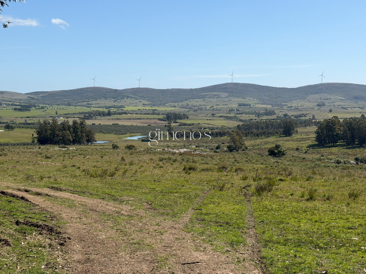 Chacra ID.1644 - Chacra 7 has en Venta - Ruta 39 - San Carlos 