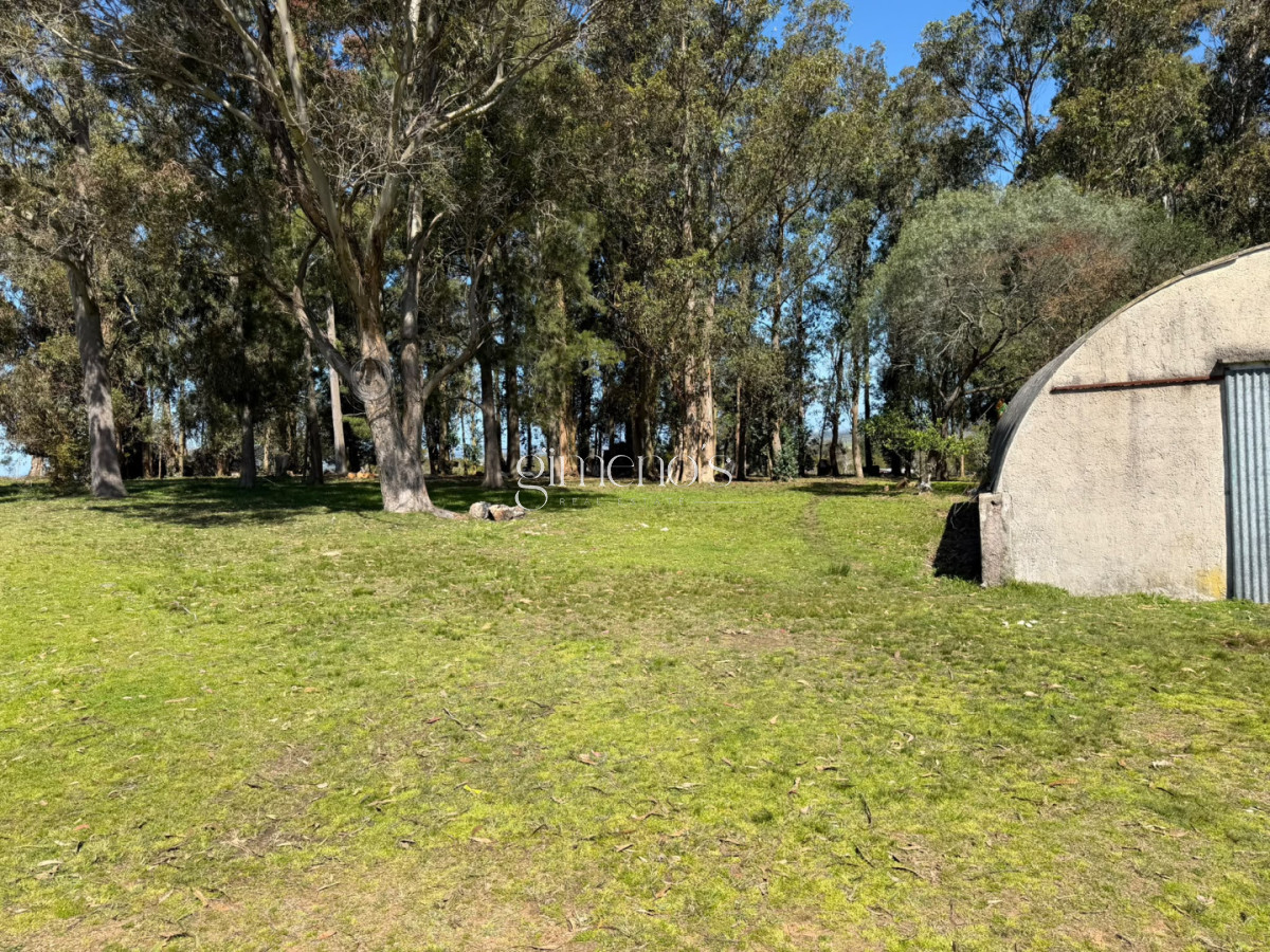 Chacra ID.1644 - Chacra 7 has en Venta - Ruta 39 - San Carlos 
