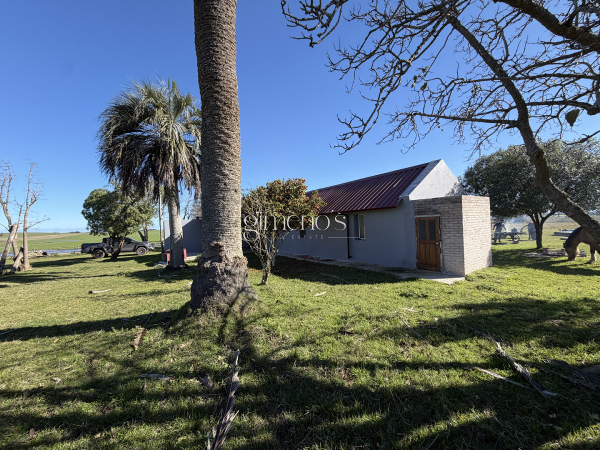 Chacra ID.1645 - Chacra en Venta de 10 has próximo a San Carlos y José Ignacio