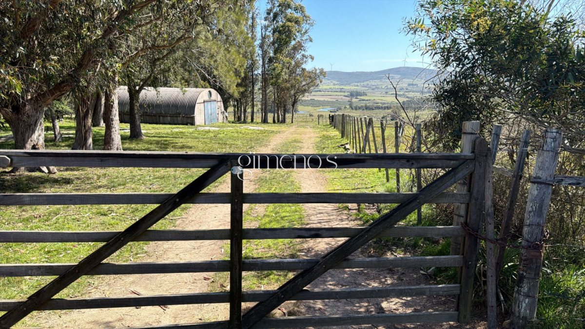 Chacra ID.1644 - Chacra 7 has en Venta - Ruta 39 - San Carlos 