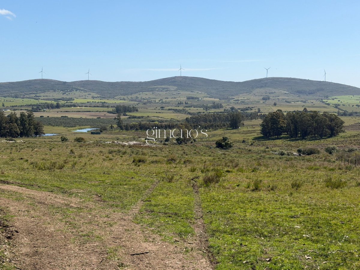 Chacra ID.1644 - Chacra 7 has en Venta - Ruta 39 - San Carlos 