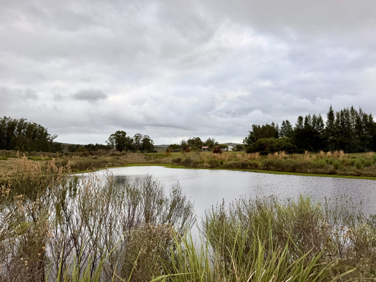 Chacra ID.461 - Chacra en Pueblo Edén en venta