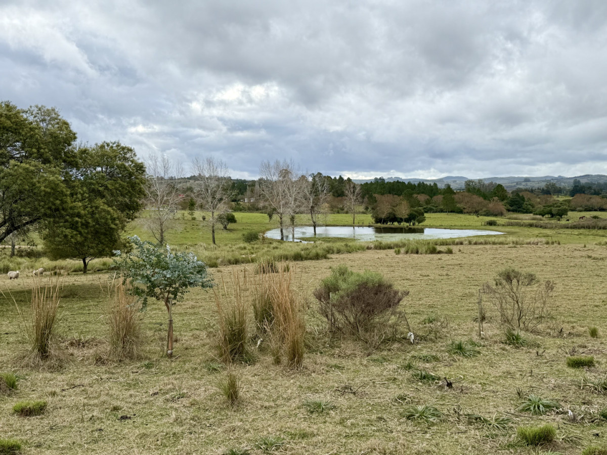 Chacra ID.461 - Chacra en Pueblo Edén en venta