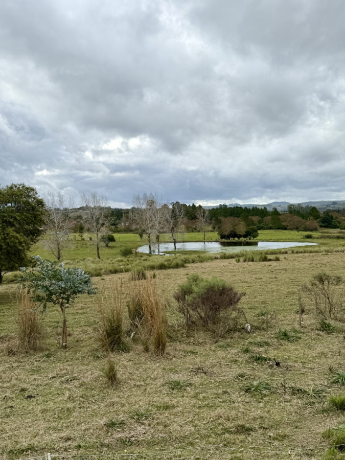 Chacra ID.461 - Chacra en Pueblo Edén en venta