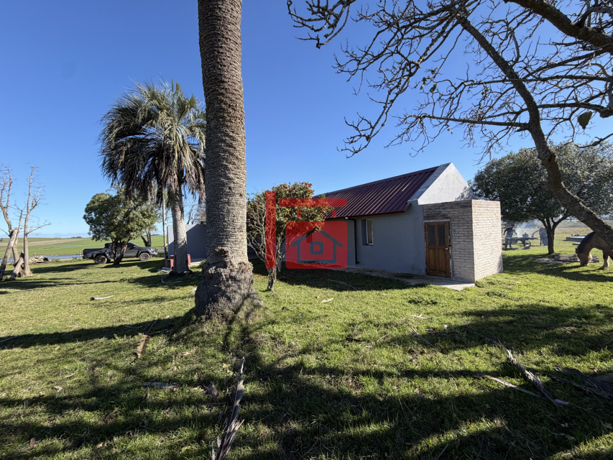 Chacra ID.1519 - Chacra de 10 has próximo a San Carlos y José Ignacio