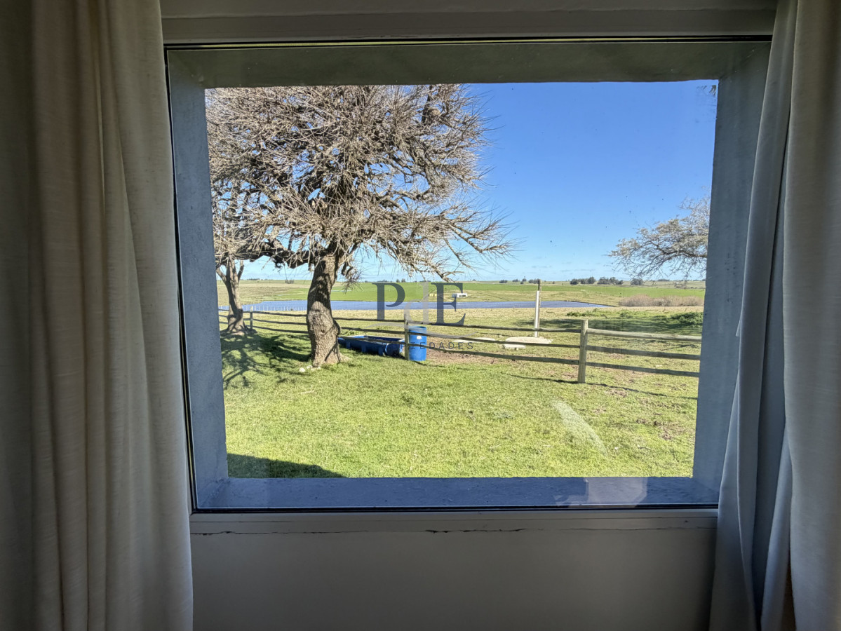 Chacra de 10 has próximo a San Carlos y José Ignacio - Imagen 11