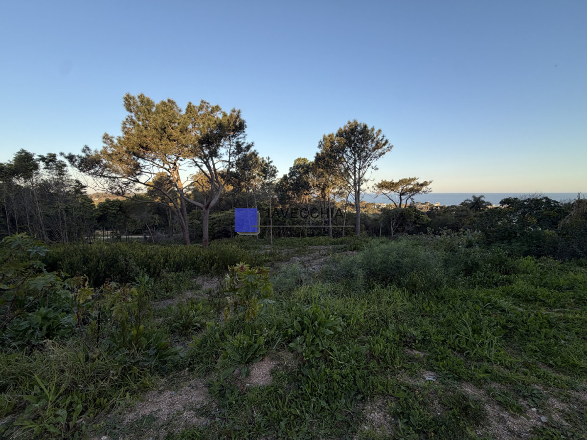 Lote en Punta Ballena - IAV50715T