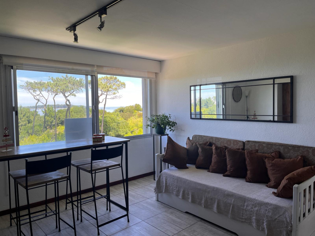Apartamento en venta Playa mansa Punta del este