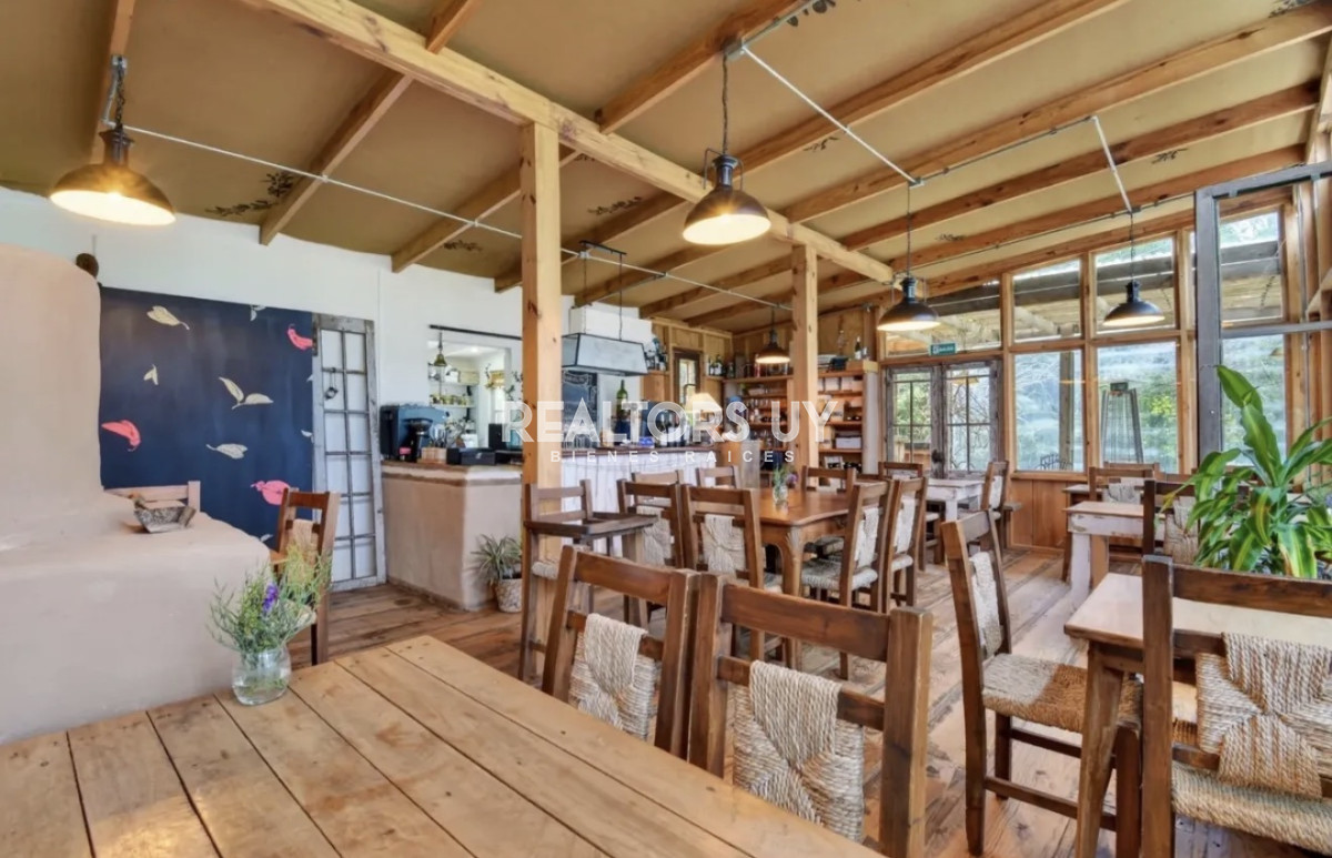 Chacra ID.1317 - Chacra + café funcionando + cabañas próximo a San Carlos