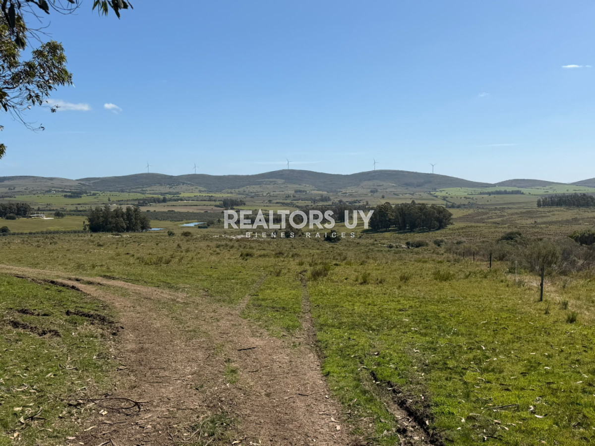 Chacra 5 has Ruta 39 - RLT1334H