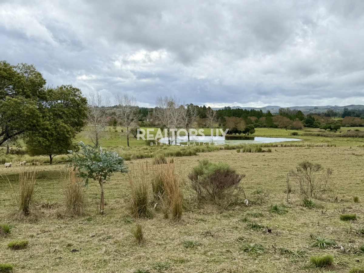 Chacra ID.1169 - Chacra en Pueblo Edén en venta