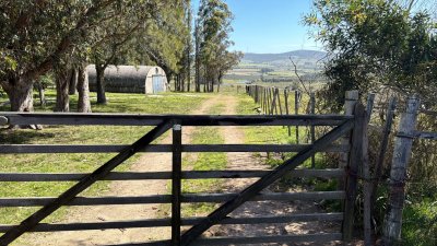 Chacra 7 has en Venta - Ruta 39 - San Carlos 