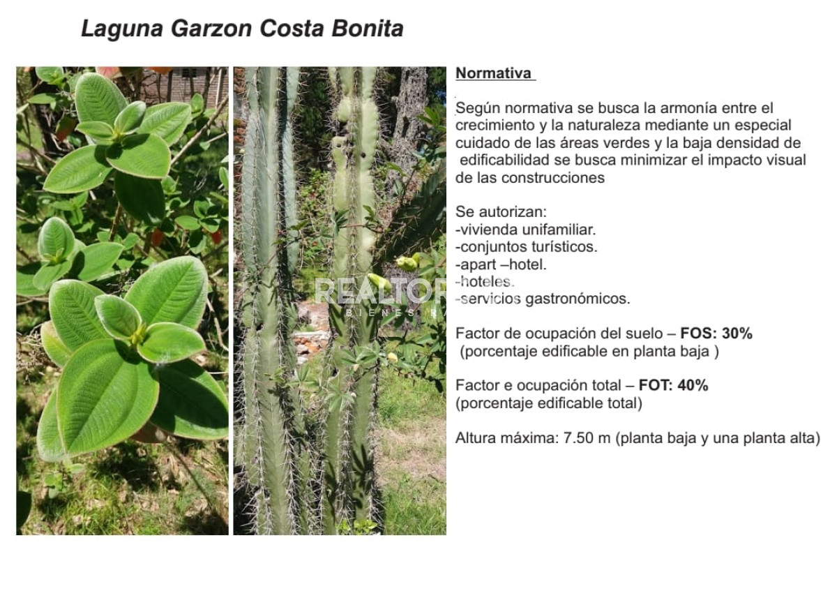 Terreno ID.85 - Venta lotes en Costa Bonita (Laguna Garzón)