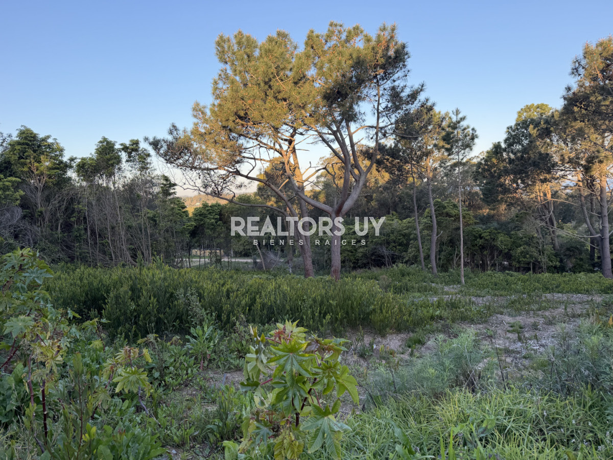 Terreno ID.1335 - Lote en Punta Ballena