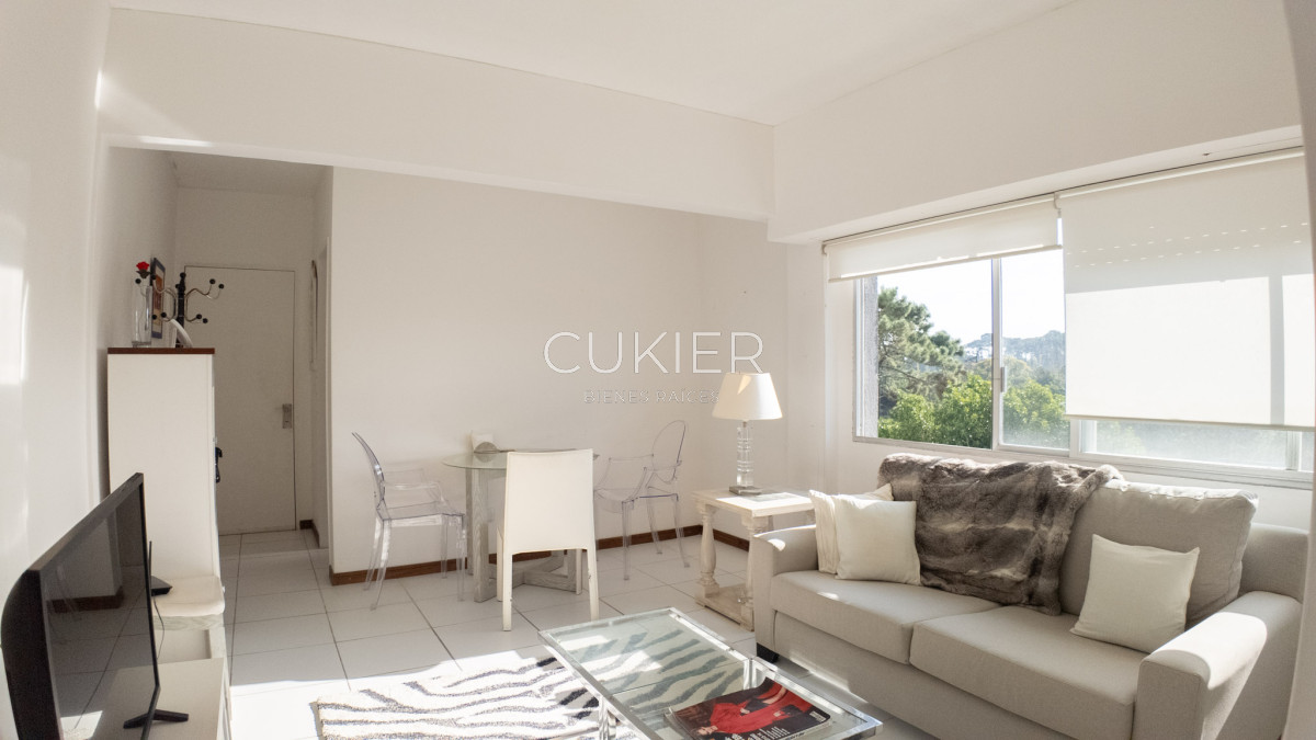 Apartamento ID.4958 - Venta apartamento 1 dormitorio en Punta del Este