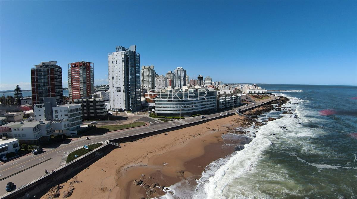 Apartamento ID.1374 - Alquiler anual y venta de hermoso apartamento primera linea en Playa Brava Punta del Este
