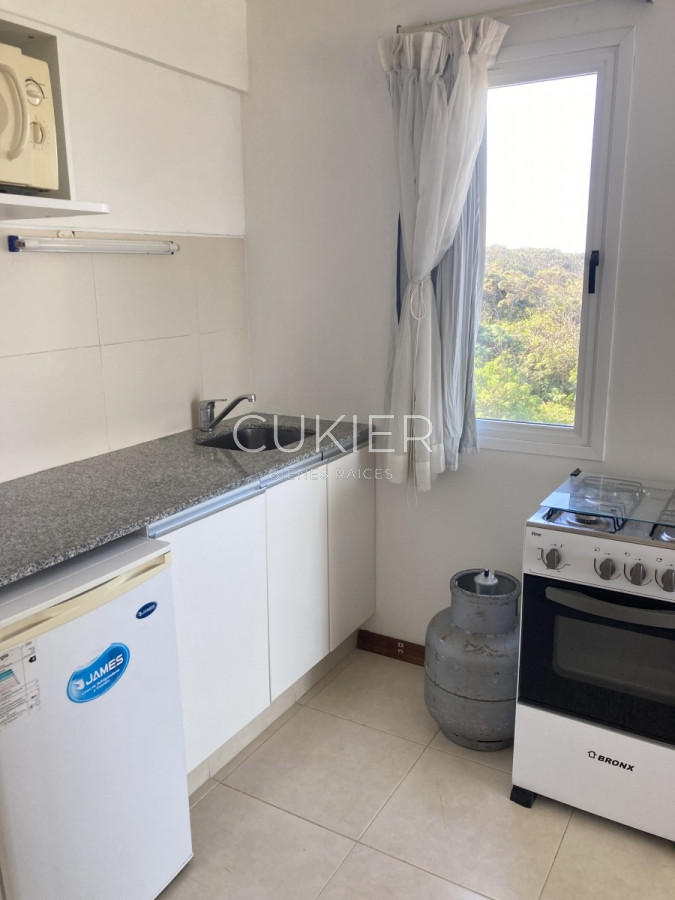 Apartamento ID.1785 - Venta de apartamento 2 dormitorios en primera linea playa mansa 