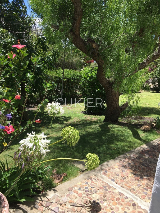 Casa ID.2488 - casa en la barra