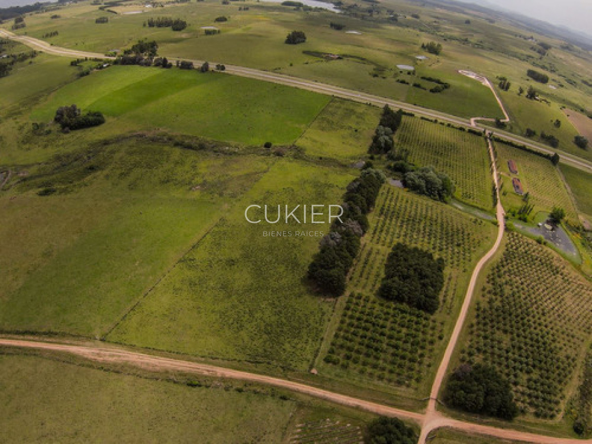 Chacra ID.4609 - 