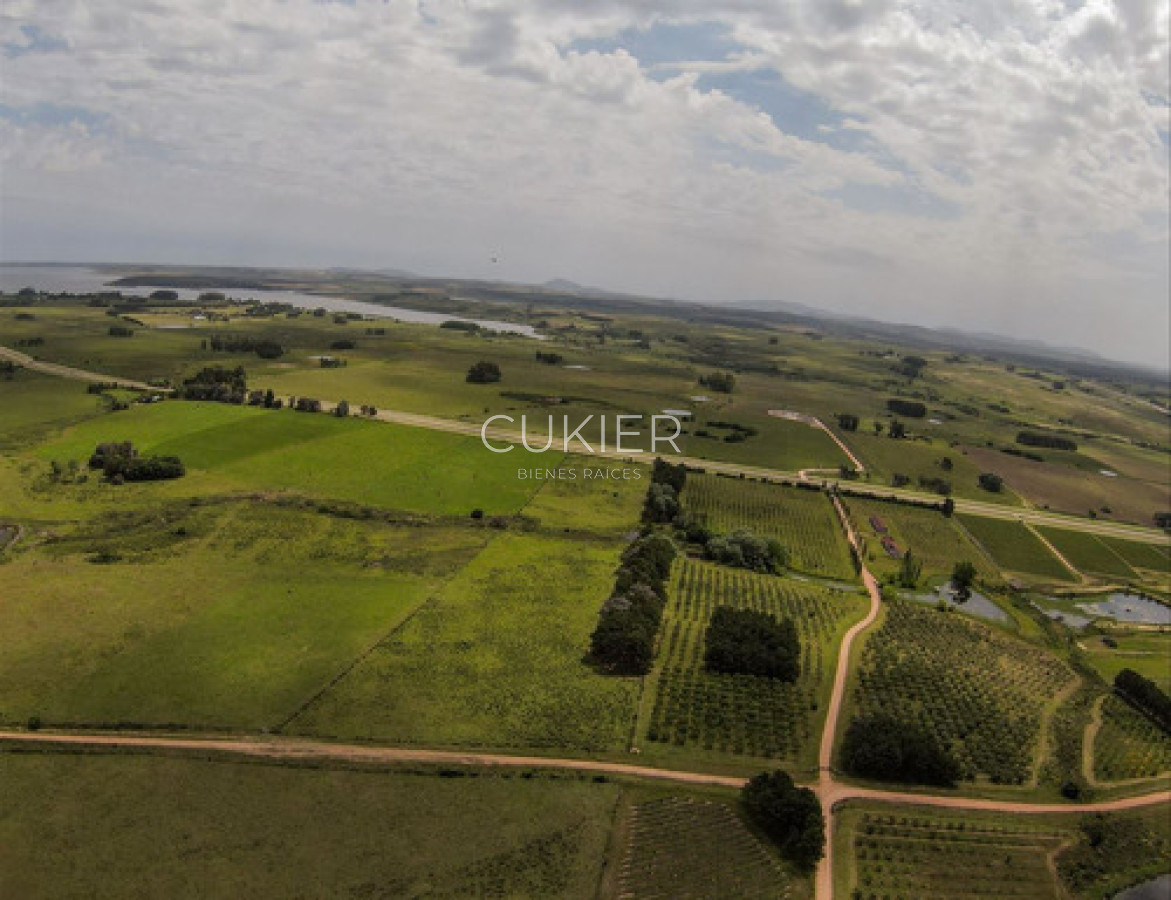 Chacra ID.4609 - 