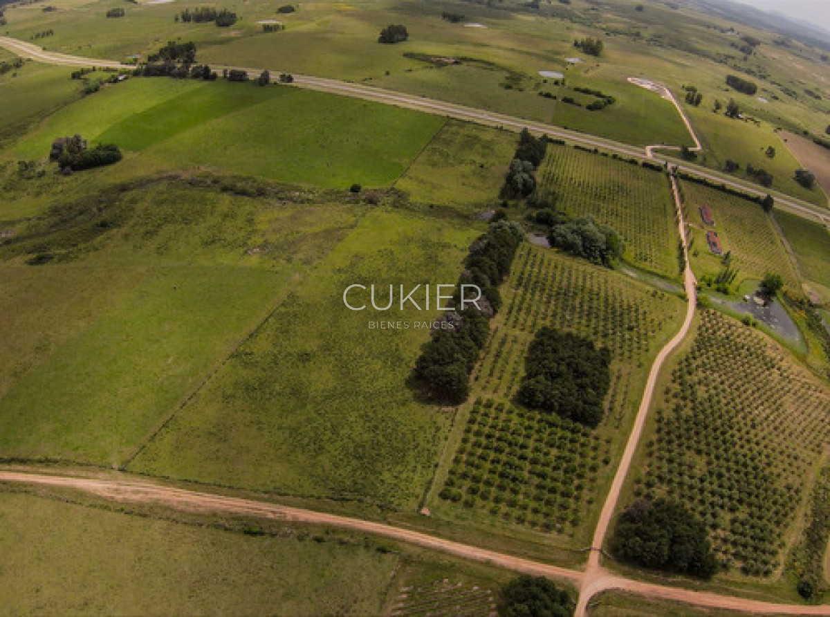 Chacra ID.4609 - 
