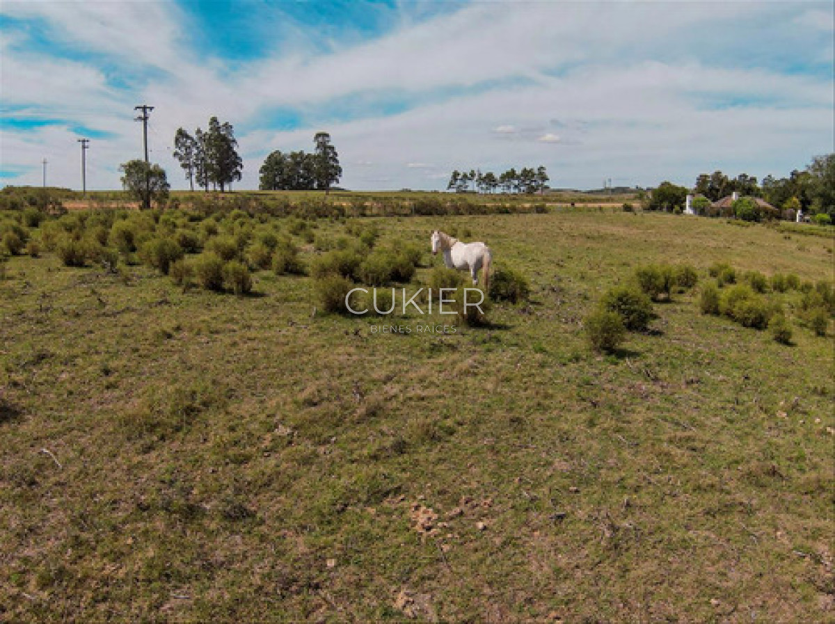 Chacra ID.4620 - Venta Chacra Laguna Del Sauce Ruta 12 Punta Este 10 Ha