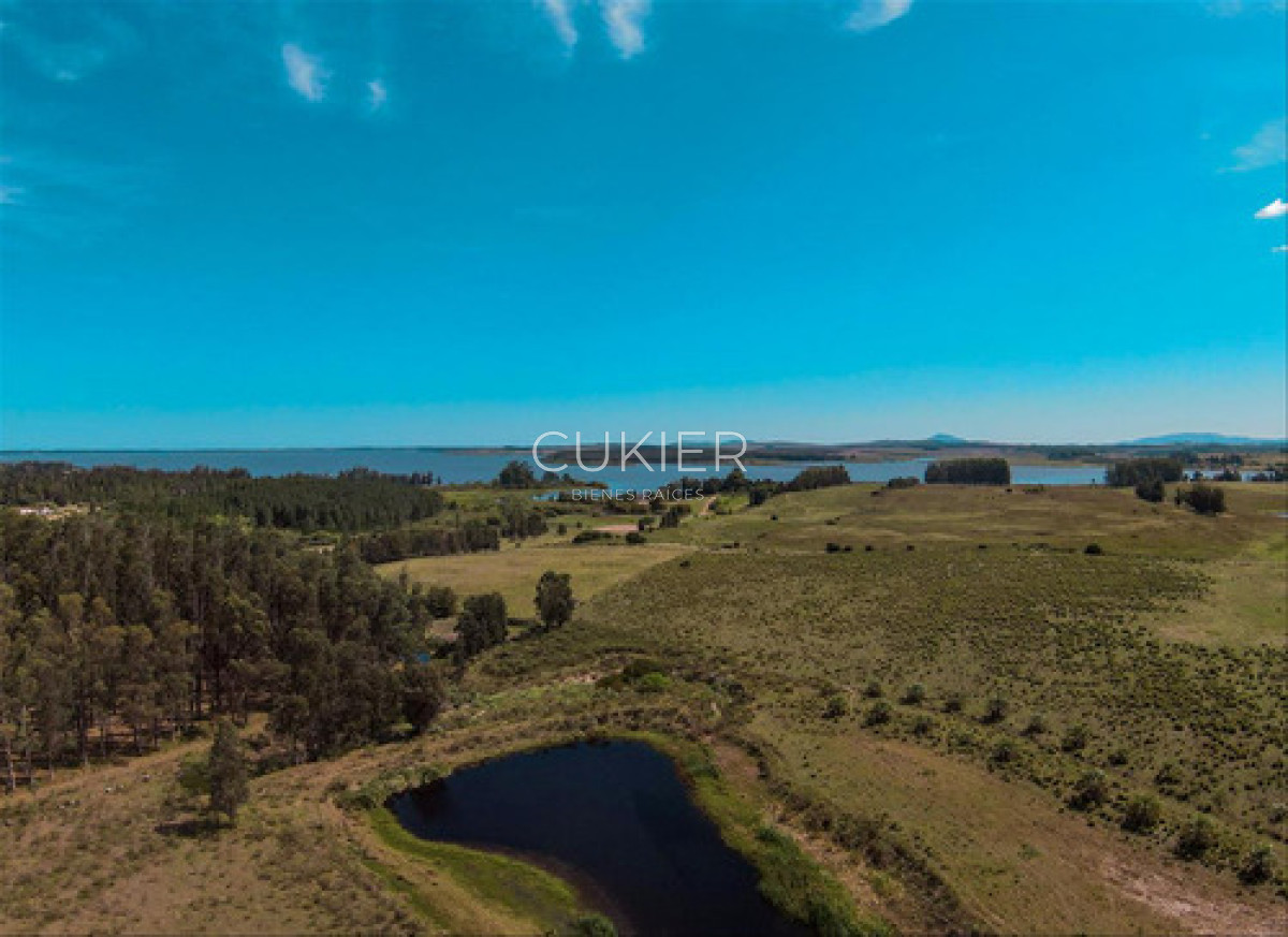 Chacra ID.4620 - Venta Chacra Laguna Del Sauce Ruta 12 Punta Este 10 Ha