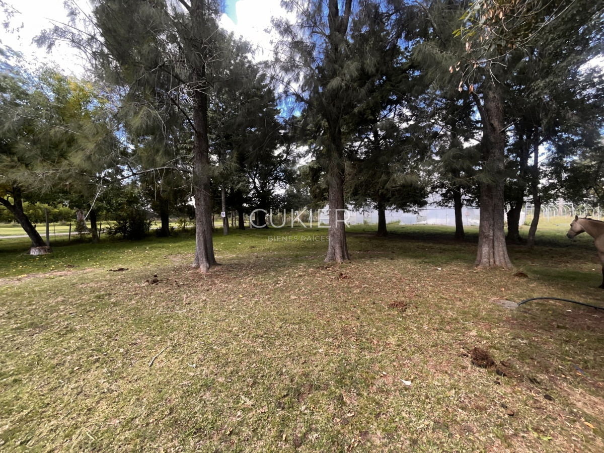 Chacra ID.3702 - VENTA DE 5 HAS CON CASA A 20 DE PUNTA DEL ESTE