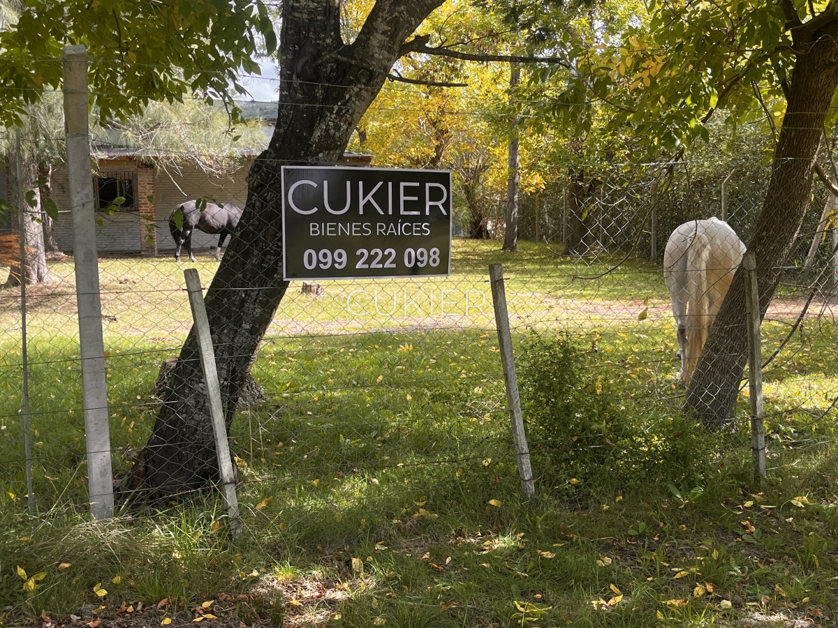 Chacra ID.3702 - VENTA DE 5 HAS CON CASA A 20 DE PUNTA DEL ESTE