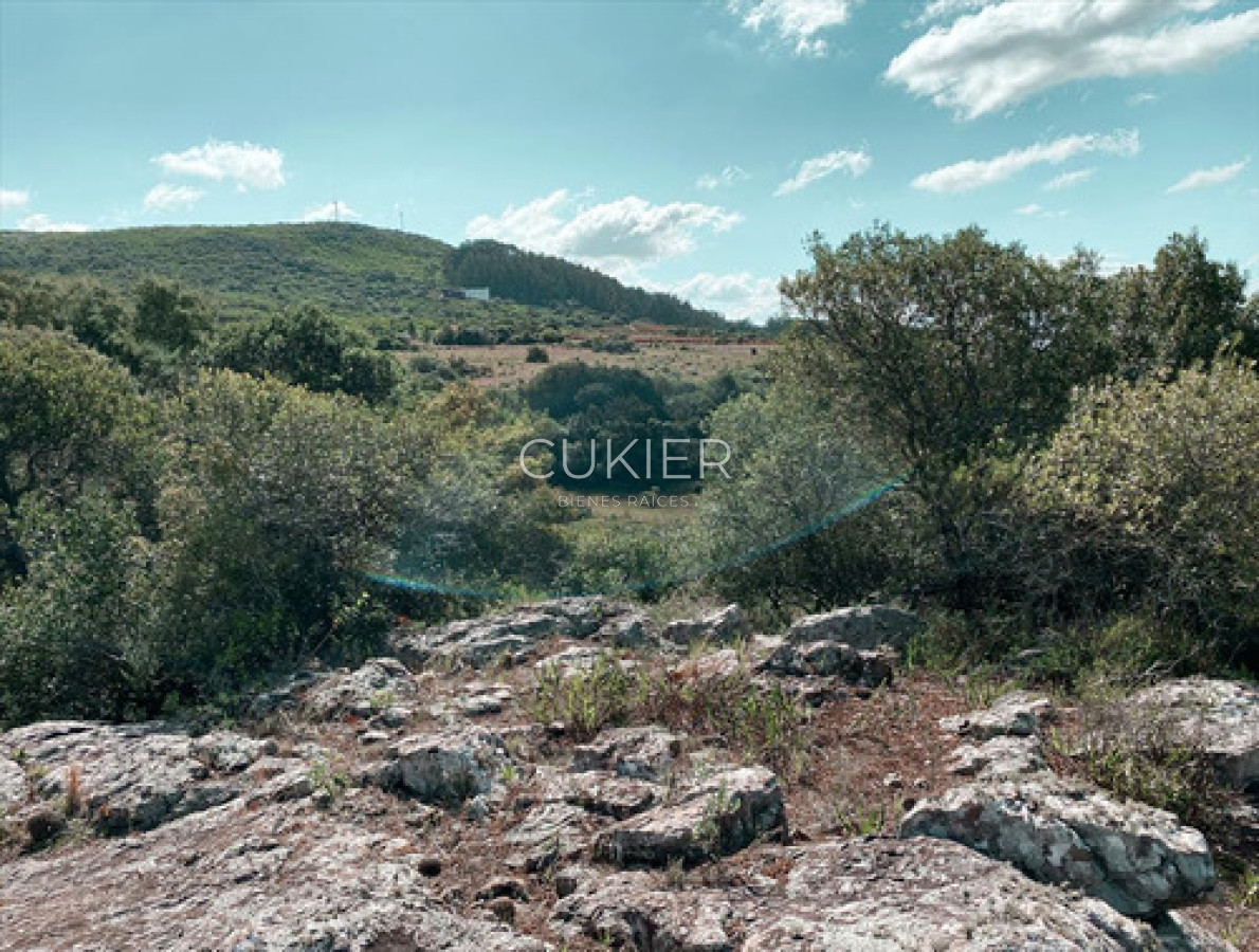 Chacra ID.4623 - Vendo Chacra Con Vivienda Zona Pueblo Eden Ruta 12