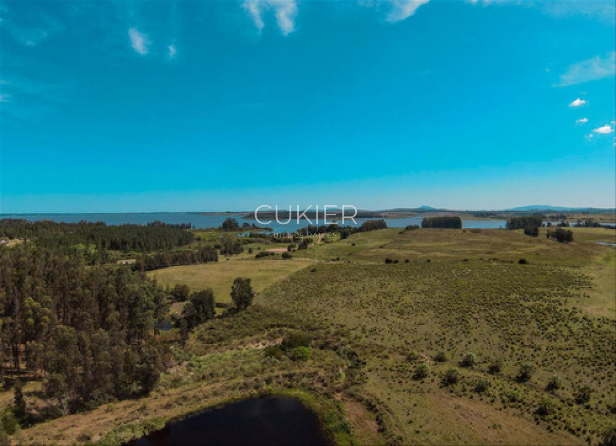 Chacra ID.4620 - Venta Chacra Laguna Del Sauce Ruta 12 Punta Este 10 Ha