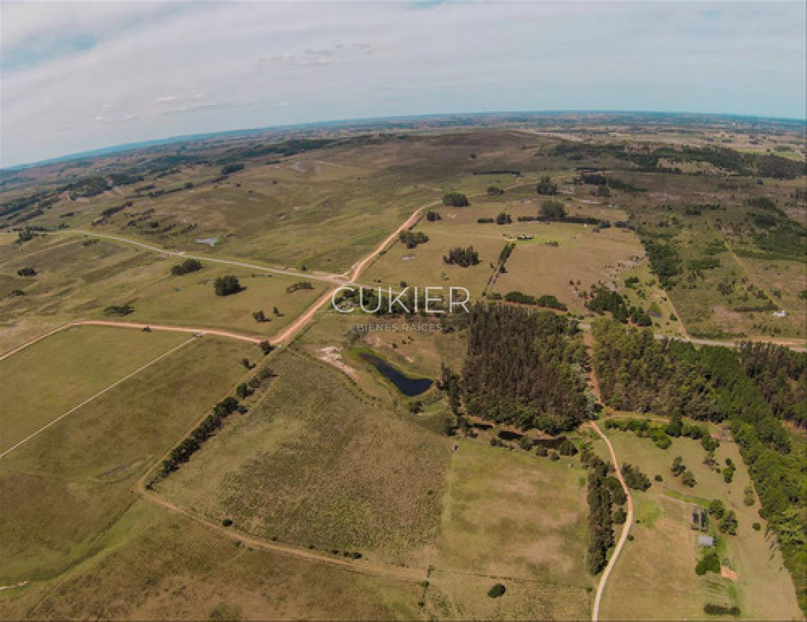 Chacra ID.4620 - Venta Chacra Laguna Del Sauce Ruta 12 Punta Este 10 Ha