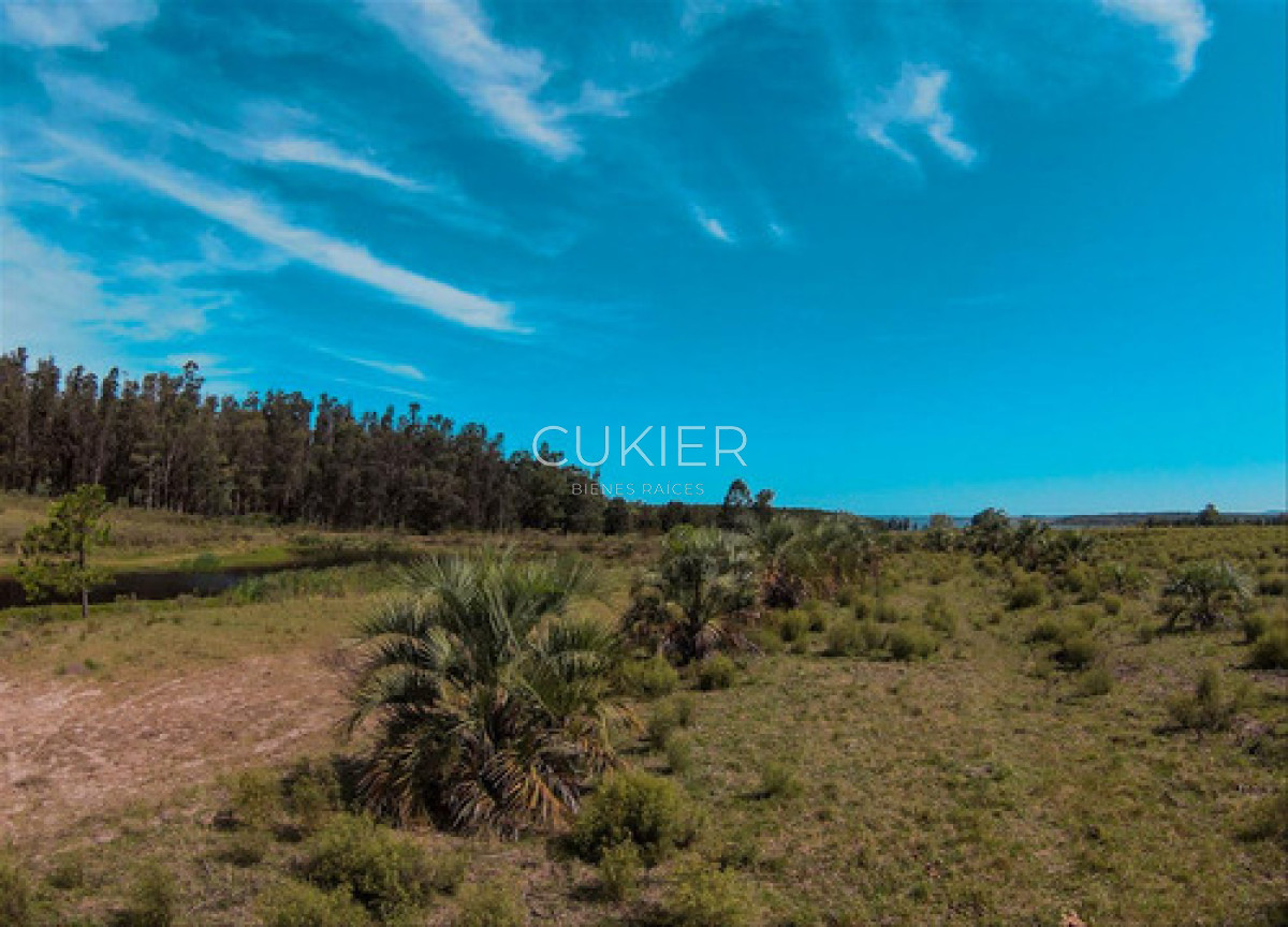 Chacra ID.4620 - Venta Chacra Laguna Del Sauce Ruta 12 Punta Este 10 Ha
