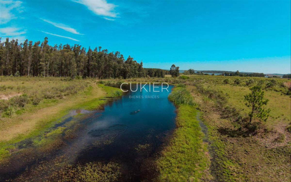 Chacra ID.4620 - Venta Chacra Laguna Del Sauce Ruta 12 Punta Este 10 Ha