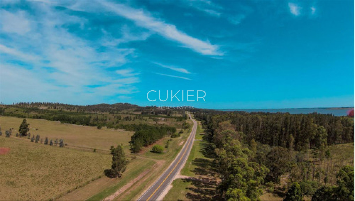 Chacra ID.4620 - Venta Chacra Laguna Del Sauce Ruta 12 Punta Este 10 Ha
