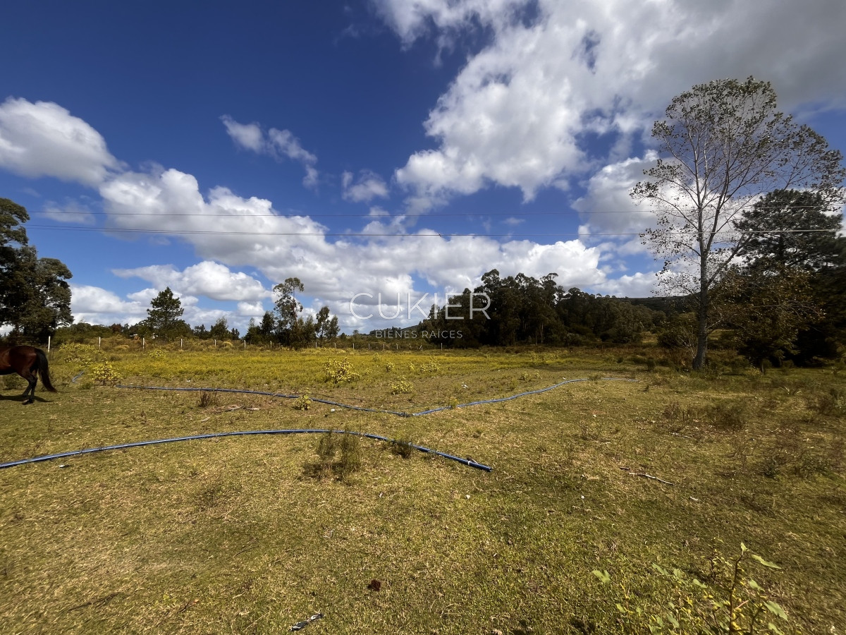 Chacra ID.3702 - VENTA DE 5 HAS CON CASA A 20 DE PUNTA DEL ESTE