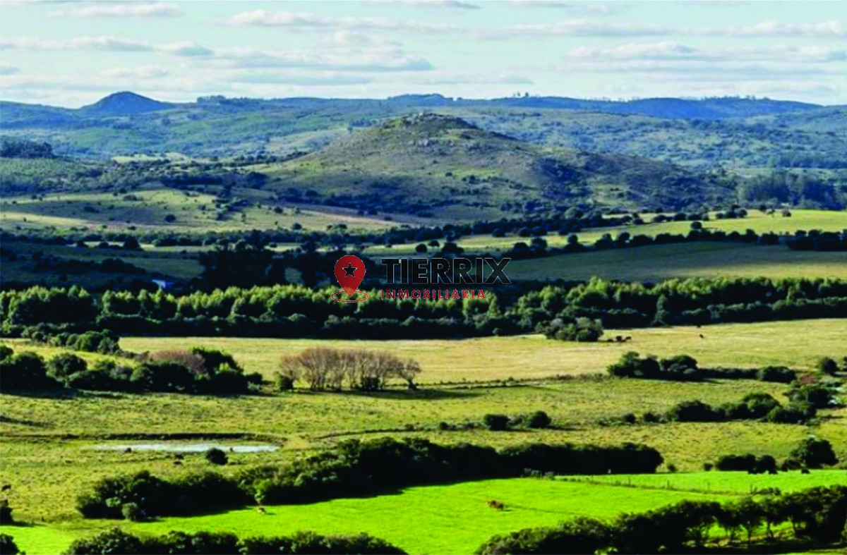 Campo Ref.273 - Estancia con 280 hectáreas