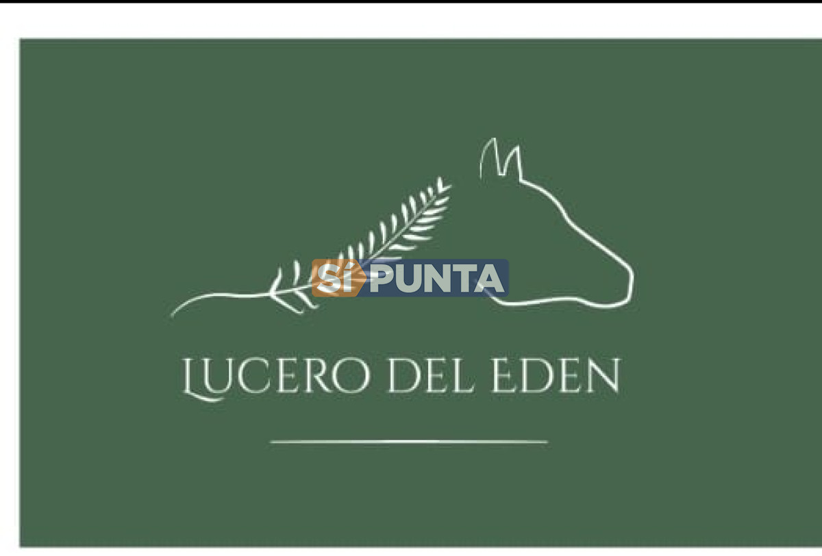 Chacra en Venta, Pueblo Edén - SPT8254H