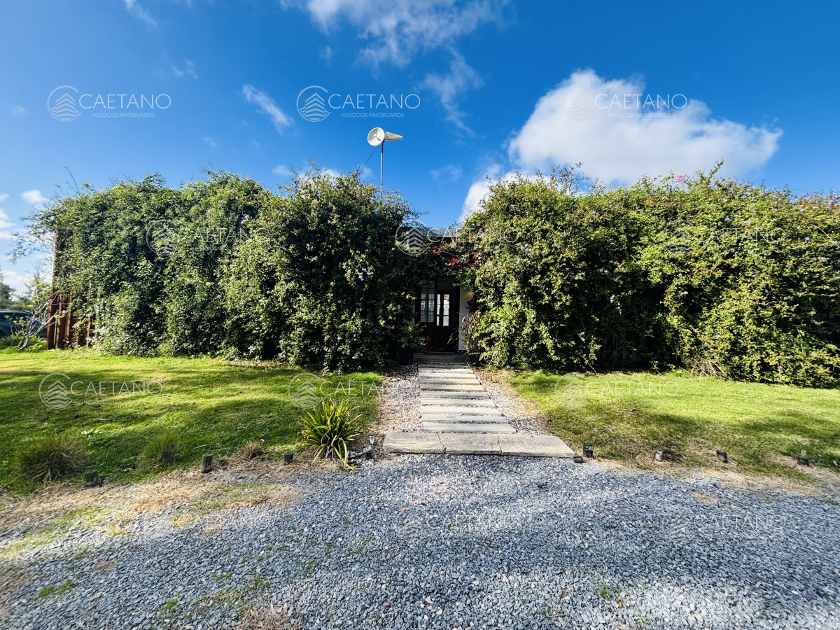 El Quijote - GoPunta - Portal Inmobiliario de Punta del Este - Maldonado