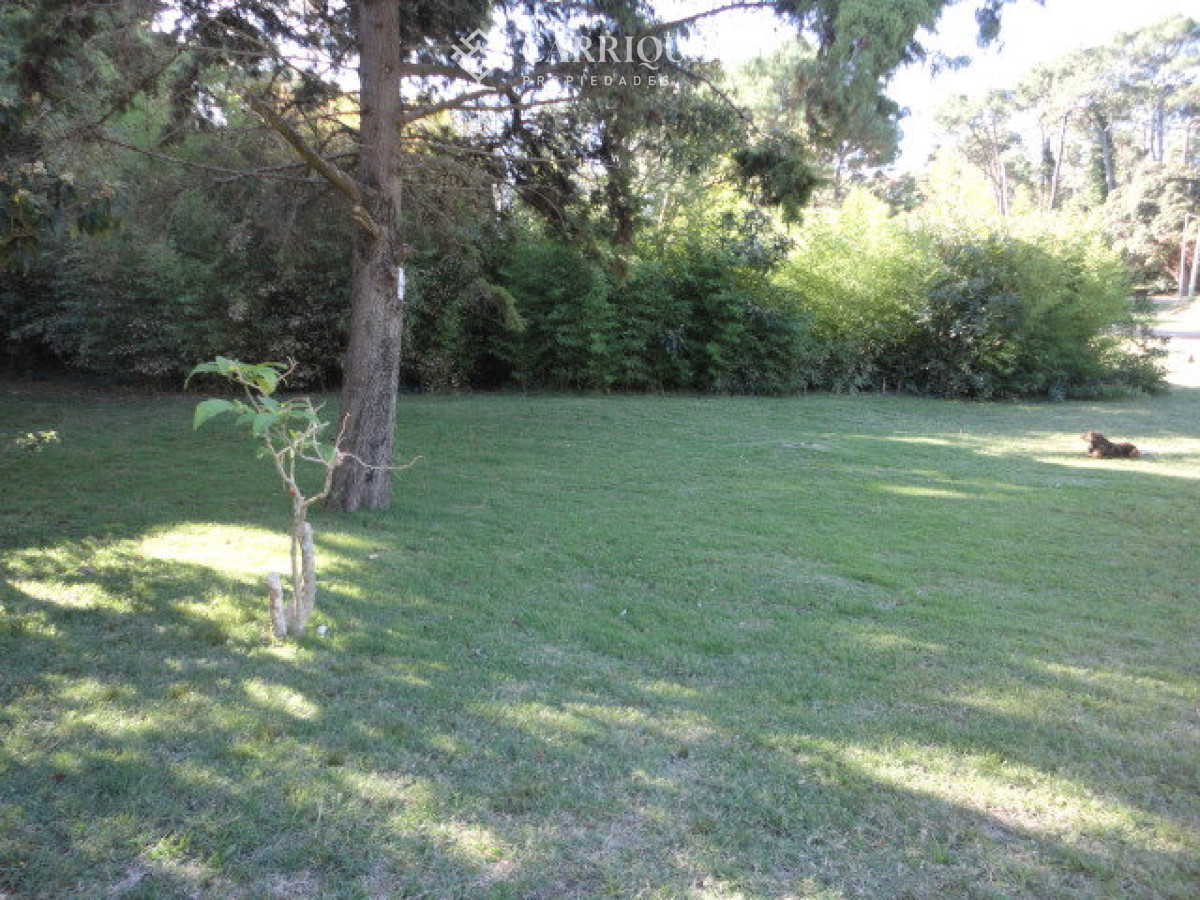 Casa ID.9830/Casa-en-ubicación-inigualable-en-Parada-6--Potencial-comercial-único.-IDEAL-CLINICA-ODONTOLOGICA - Oportunidad en San Rafael, chalet tradicional con 1566 m2 de terreno