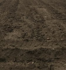 Terreno con opción a permuta