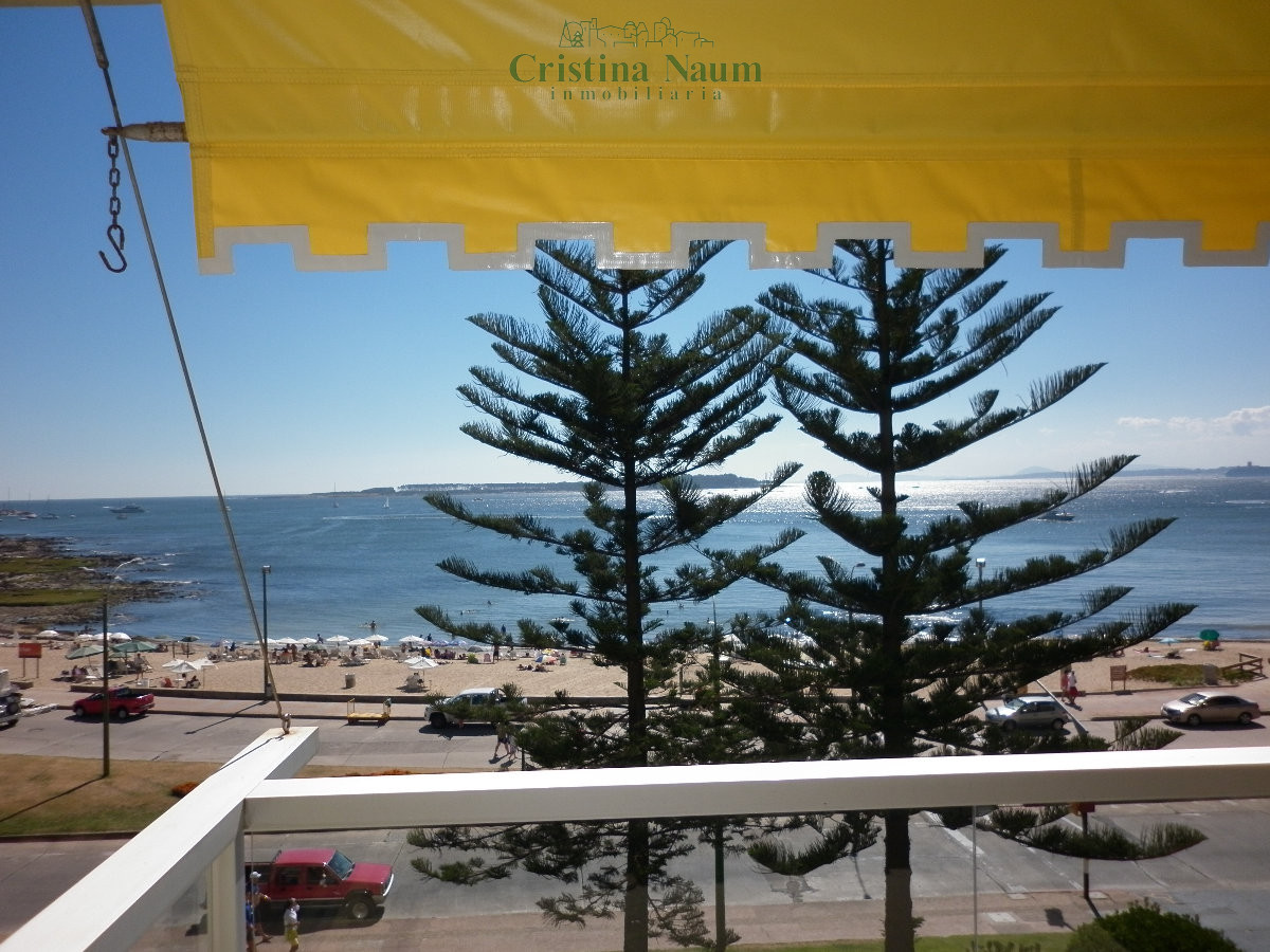 Mansa - GoPunta - Portal Inmobiliario de Punta del Este - Maldonado