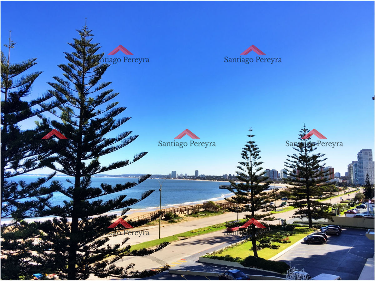Apartamento ID.3669 - Apartamento en torre frente al mar