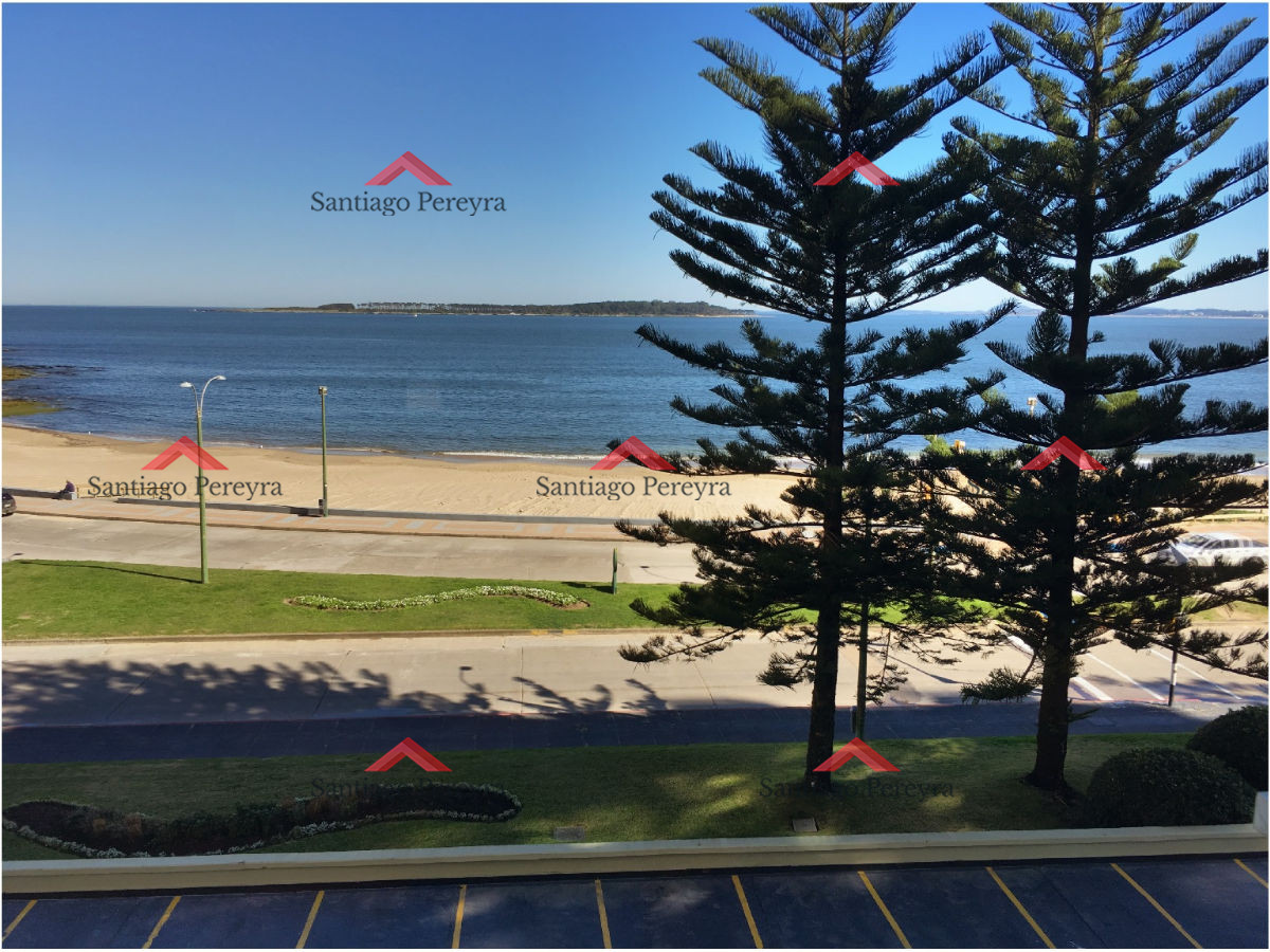 Apartamento ID.3669 - Apartamento en torre frente al mar