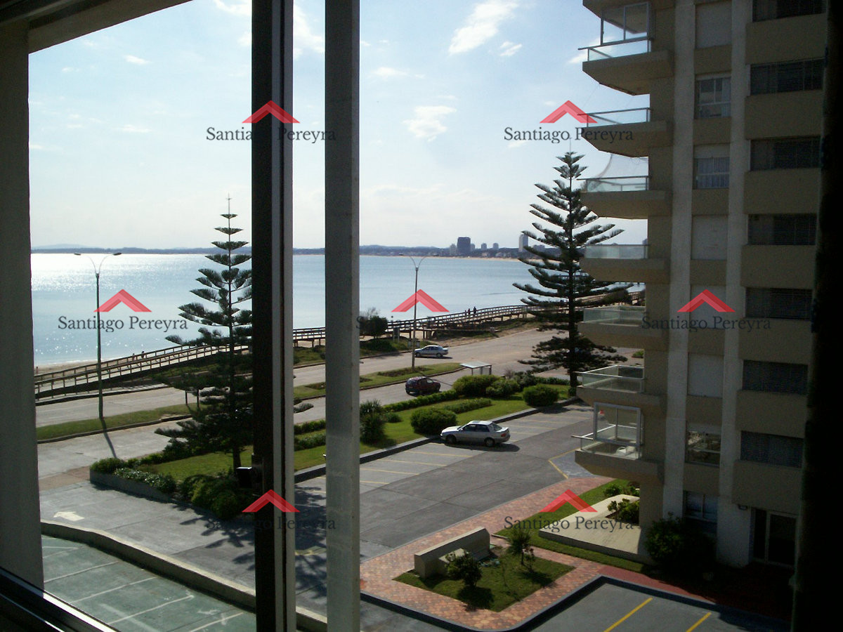 Apartamento ID.74 - Apartamento frente al mar