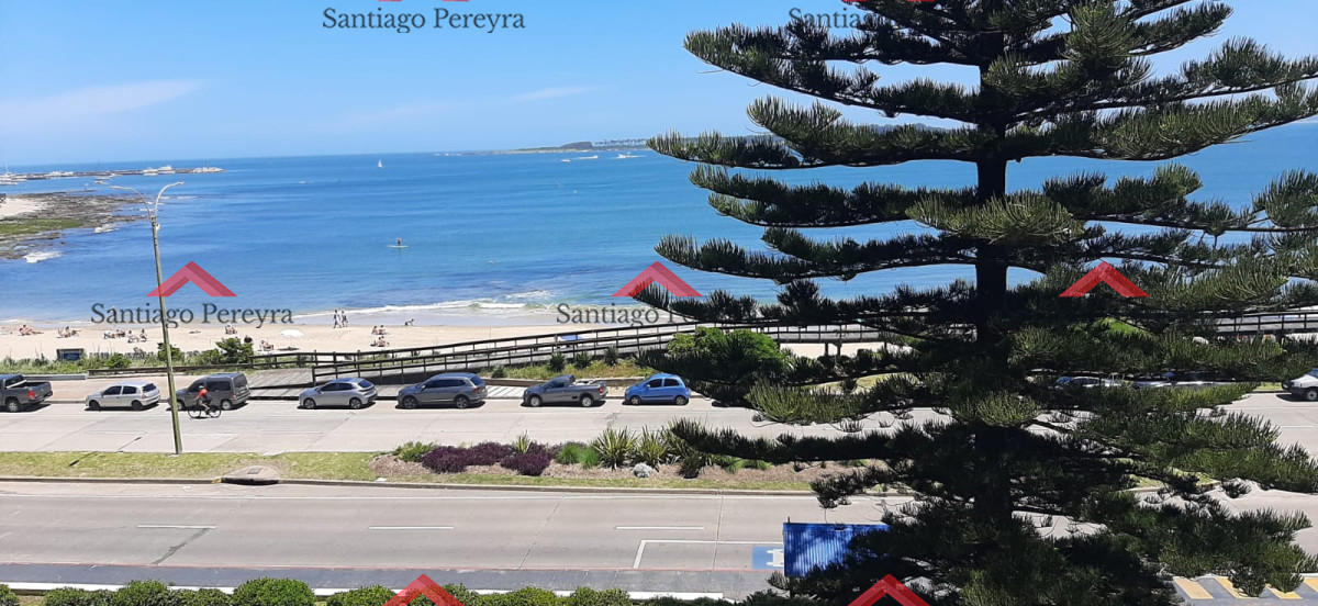 Mansa - GoPunta - Portal Inmobiliario de Punta del Este - Maldonado
