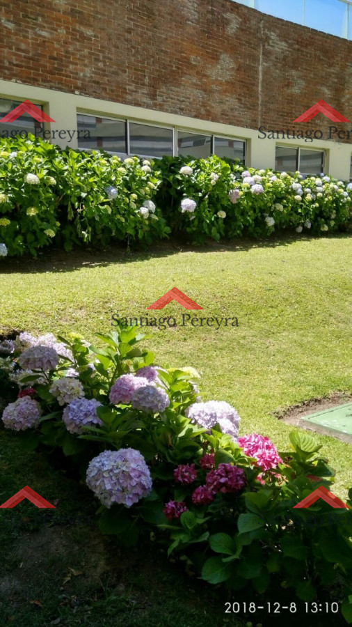 Apartamento ID.81 - Espectacular apartamento en venta 