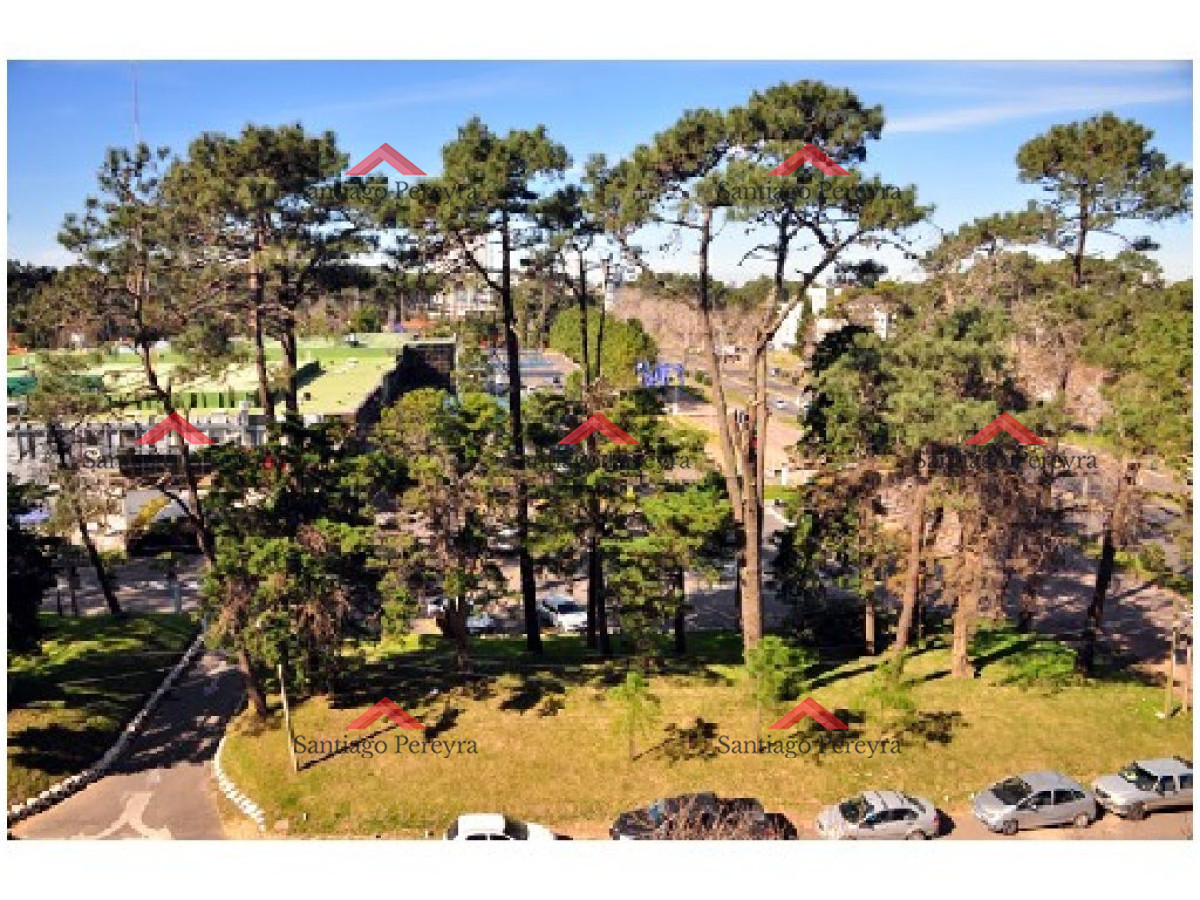Roosevelt - GoPunta - Portal Inmobiliario de Punta del Este - Maldonado