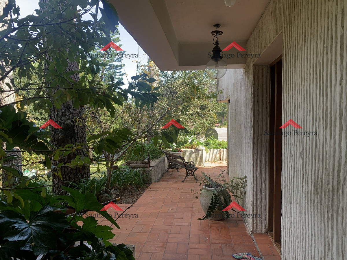 San Rafael - GoPunta - Portal Inmobiliario de Punta del Este - Maldonado