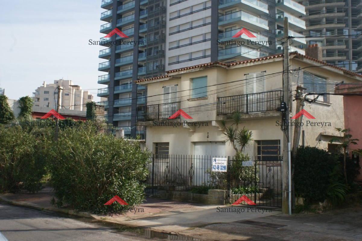 Brava - GoPunta - Portal Inmobiliario de Punta del Este - Maldonado